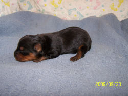 click here to see me grow