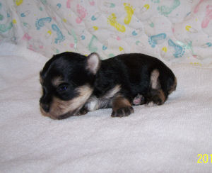 click here to see me grow
